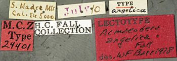 Media type: image;   Entomology 24401 Aspect: labels